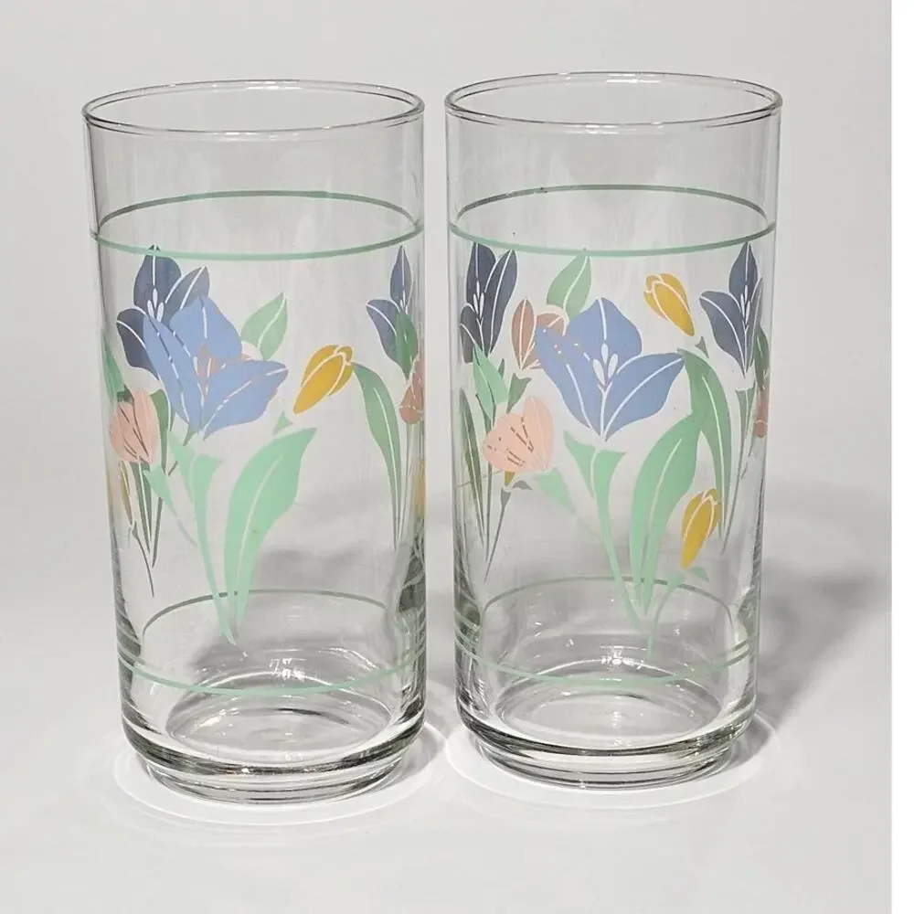Vintage Pastel Corelle Coordinates Friendship Pattern Crisa Glass Tumblers Set